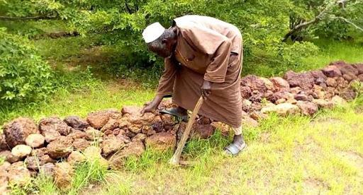 Plantar-bosques-africa-sawadogo3