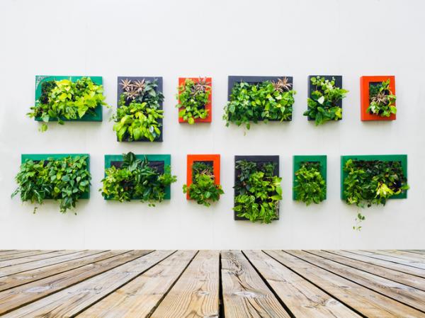 regalos_naturales_para_mujer_plantas_1414_3_600