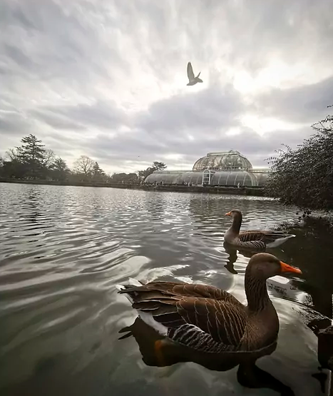 jardines_kew_garden