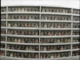 banco_semillas_kew_garden