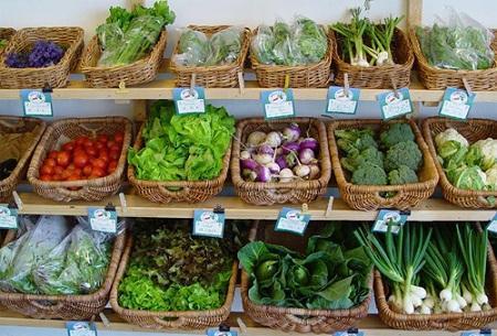 img_ventajas_e_inconvenientes_de_los_productos_ecologicos_98_paso_0_600