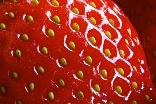 como-cultivar-fresas-3_0