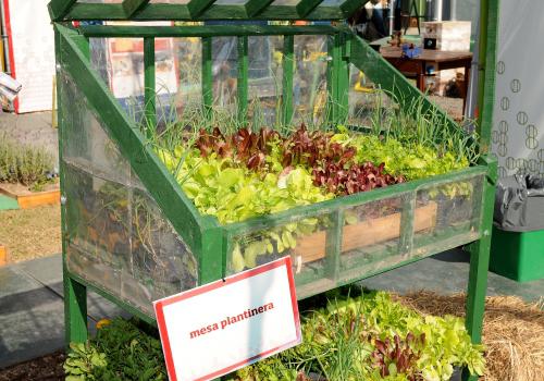 AAF_9254-Pablo-Oliveri