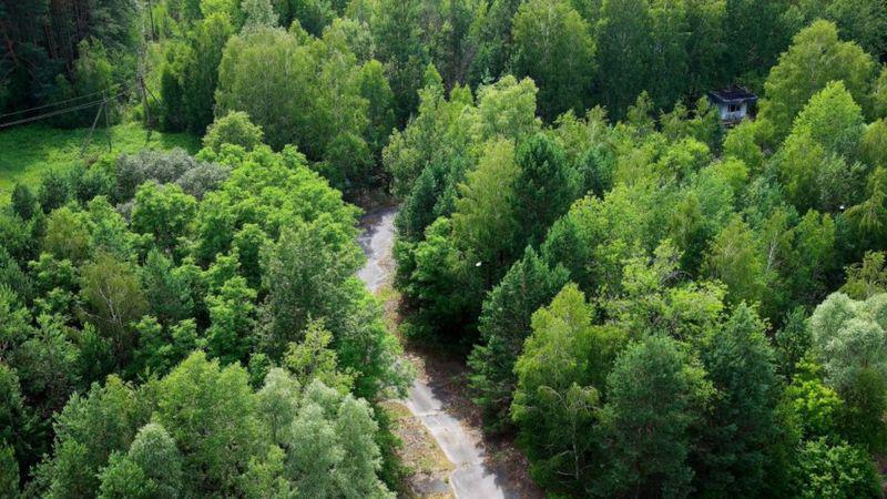 _107980341_gettyimages-846399512