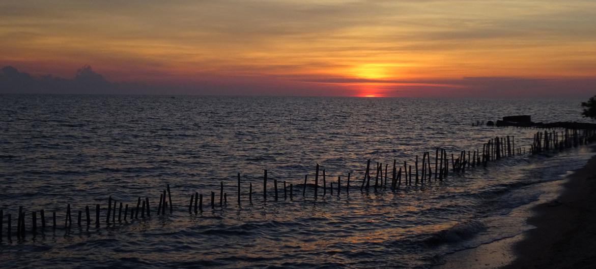 image1170x530cropped2