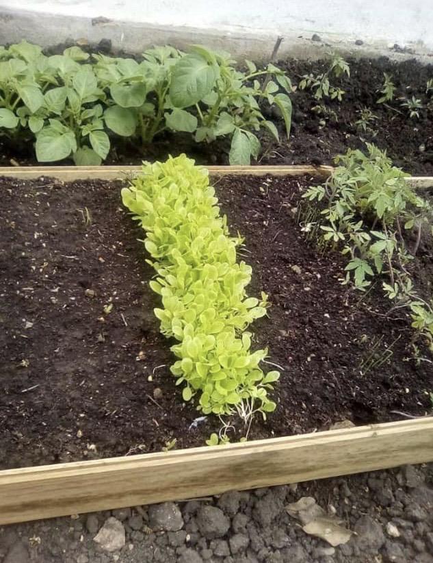 533b5513-99ed-4e89-927d-4b811894c854