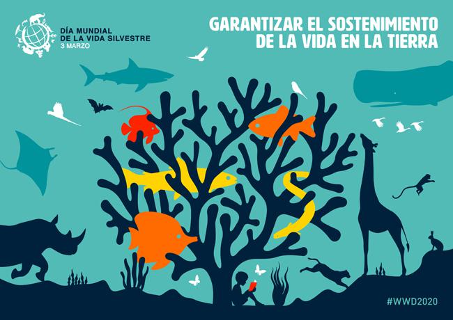 03-03_dia-mundial-de-la-vida-silvestre_2020_m