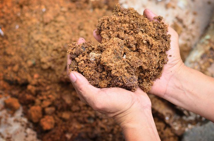 Cómo preparar compost1