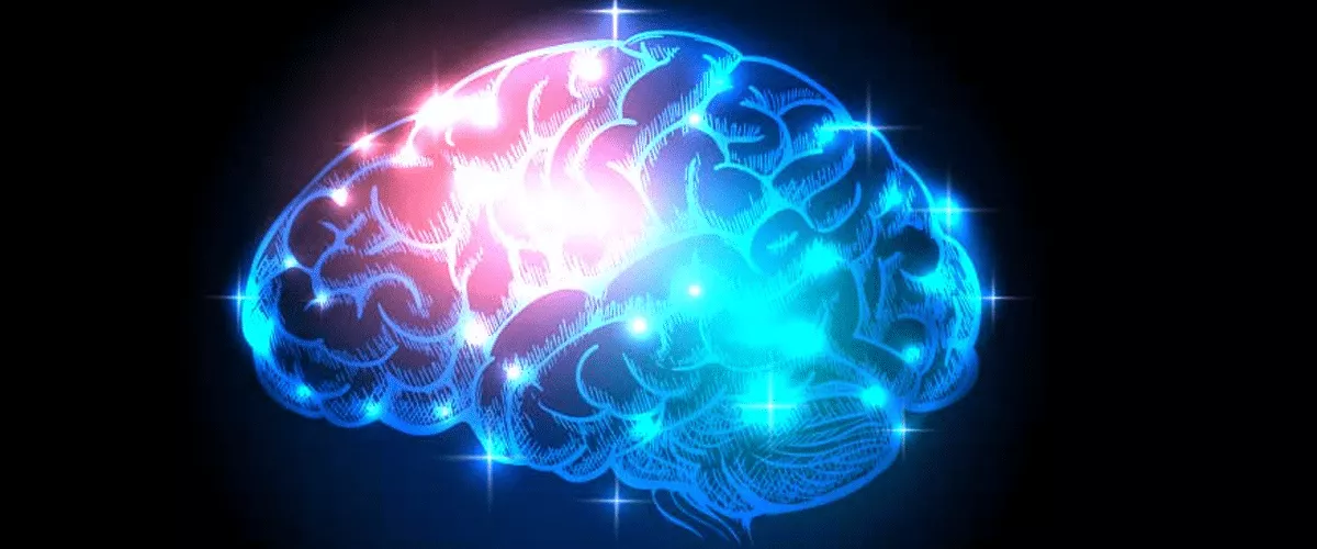 La-neurociencia-del-tacto-y-del-dolor