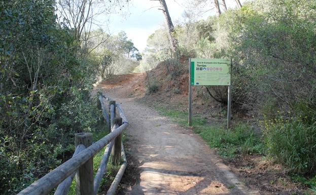 4-kVbF-U10020426463050B-624x385@Diario Sur