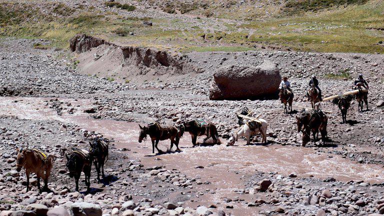 Q4DZNMR64BFHVGIGFMWTS5XHMY