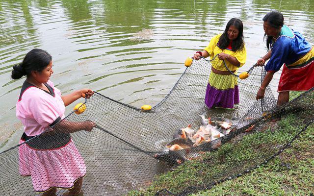 IMG_0540_FOTO2_Credit_CarmenCarrión_TNC_Web