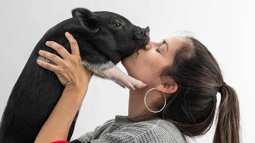 605f58a8d0109_1004x565