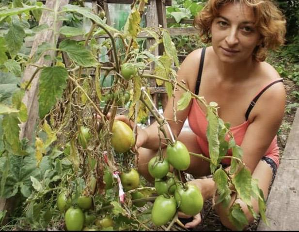 950609c8-1a6c-41d6-b3c1-36cbc04e90c2