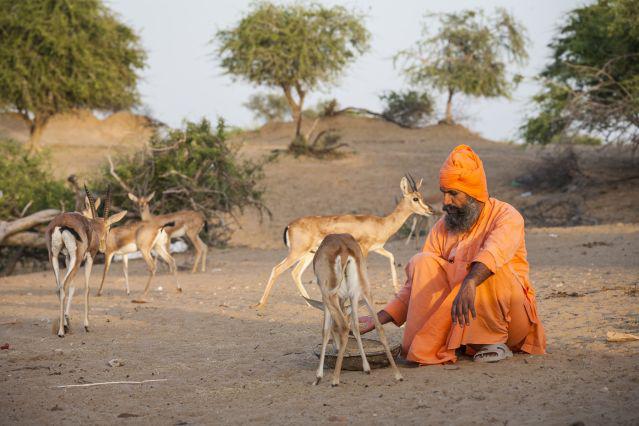 franck-vogel-bishnoi