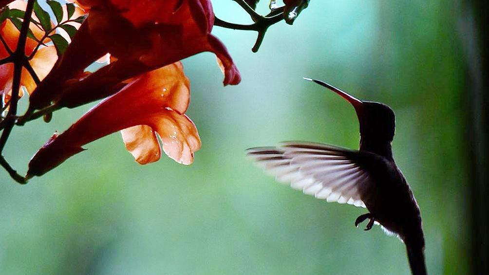 6026b68044429_1004x565