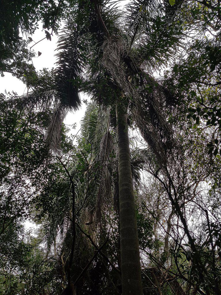 GHERBVTDKJE4FBQDFAUI5QWLMU