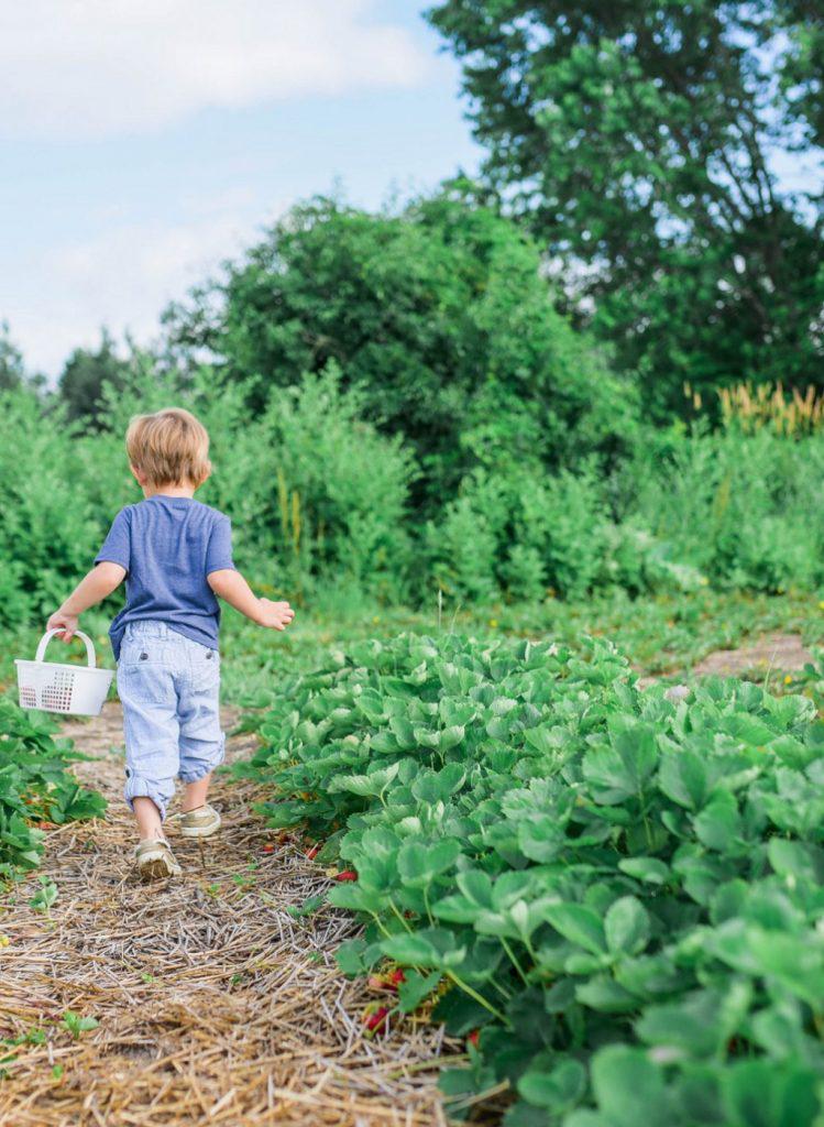 escuela-vegana-749x1024