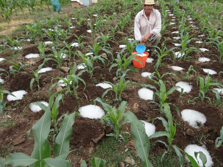 ingenisoa-formadeaguasolidda