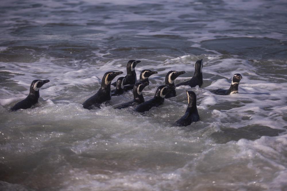 A88A59DA-4648-4C25-A425-C18A221321AE