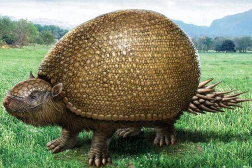 ROQ7HKXDWRE3DAYKGQVEY35GYE