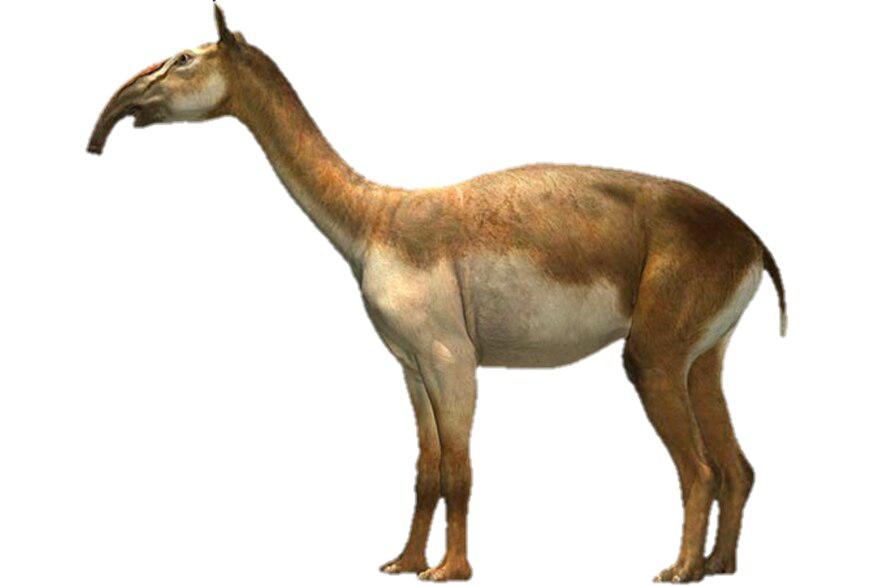 IWR7GLBBGZDCVP2UXL5E6VWMYM