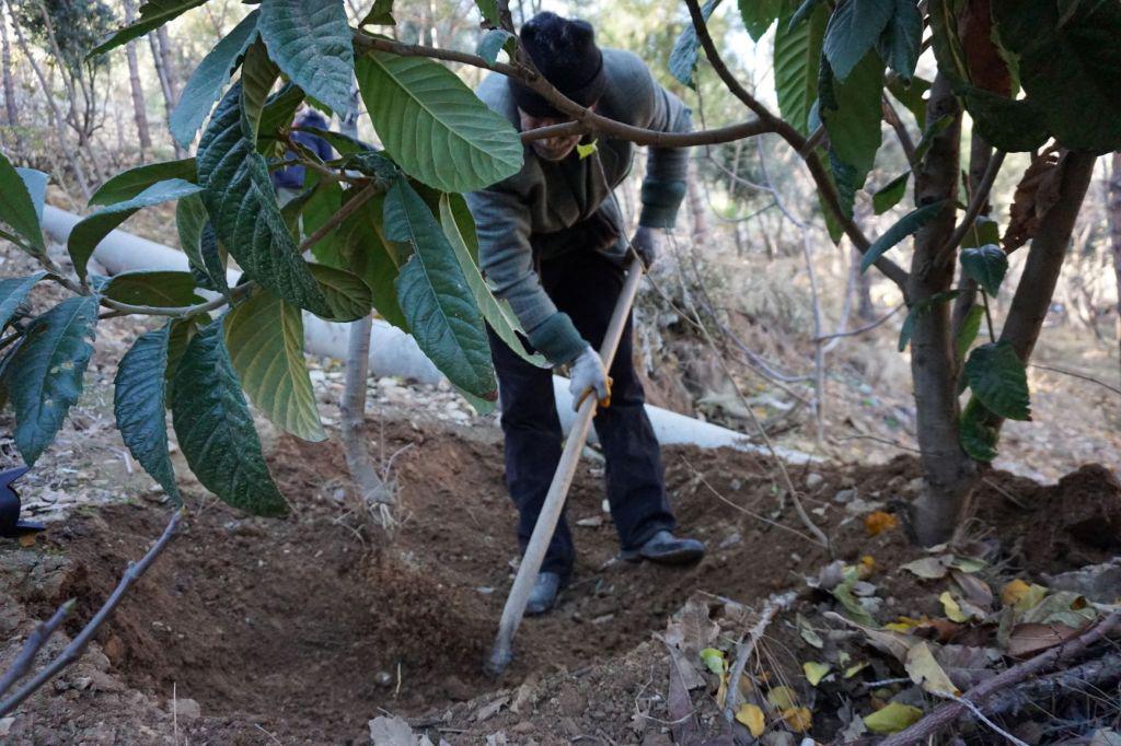 hombre-turquia-basurero-bosque.08-04-2021.medio-ambiente