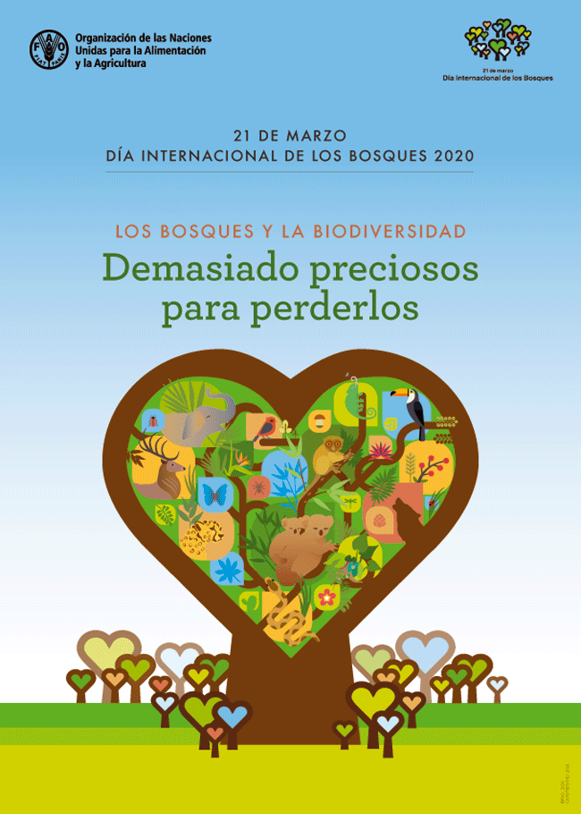 03-21_dia-internacional-de-los-bosques_cartel_m