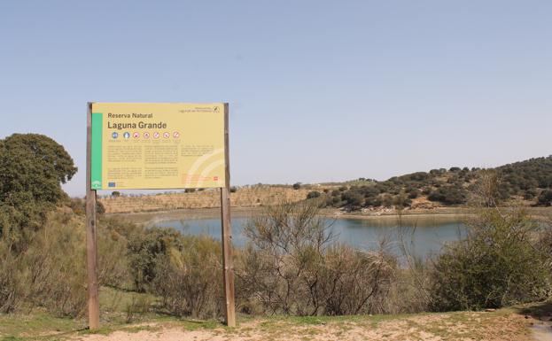 9-kVbF-U100204264630f0D-624x385@Diario Sur