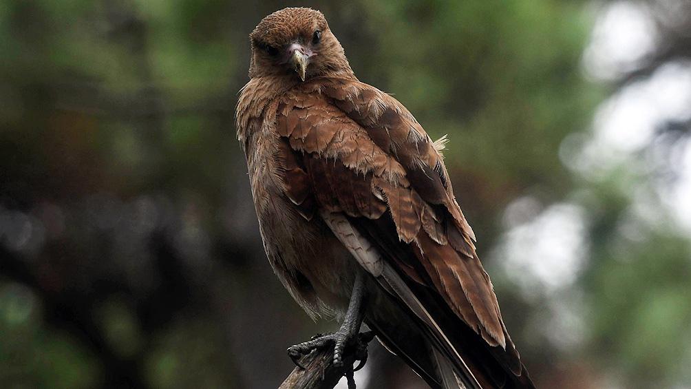 6026b6803abe9_1004x565