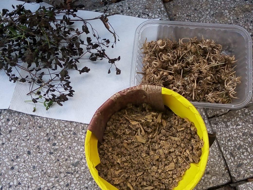 9d556387-92f8-4fc3-88dc-de26d6be9b1a