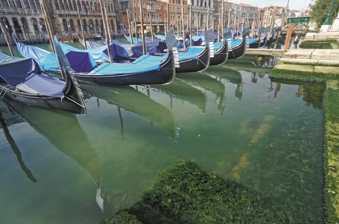 60463a25b81c0_700_462!