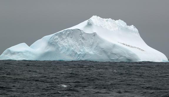 iceberg