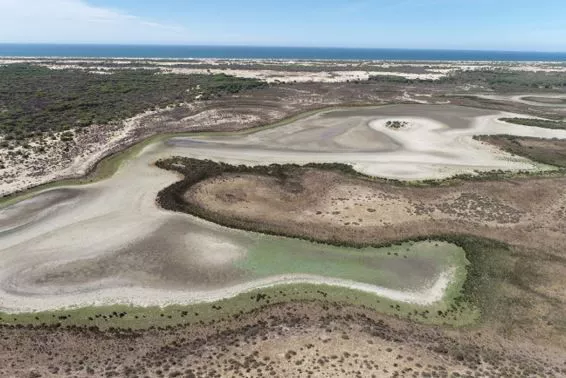 doñana
