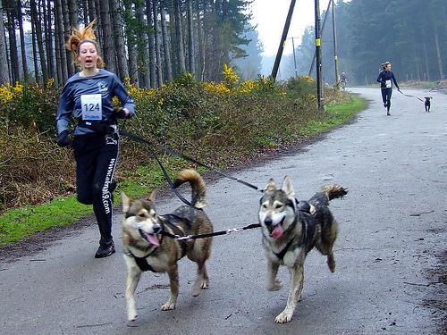 Racheal_Bailey_of_Akna_K9_Academy_with_two_of_her_running_dogs