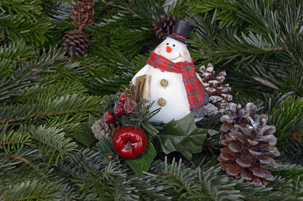 snowman-g40c5daad8_1920