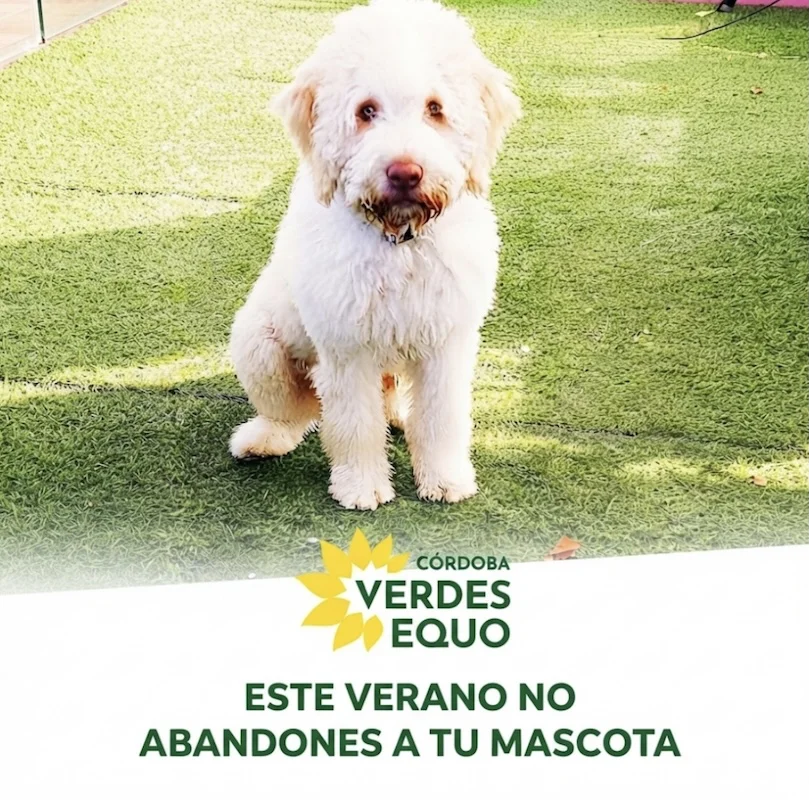 Cartel No abandones mascota