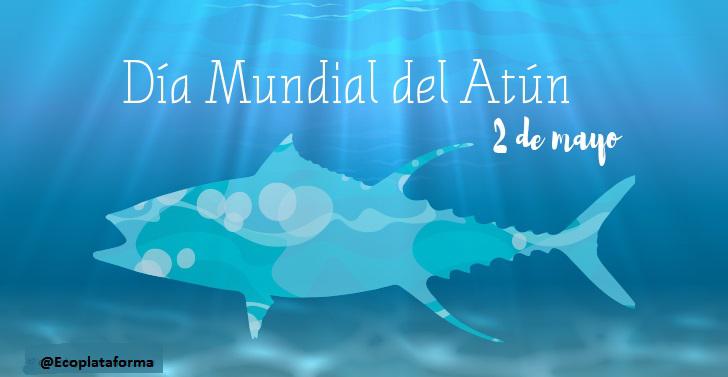 dia-atun-ccs-cas-confecha