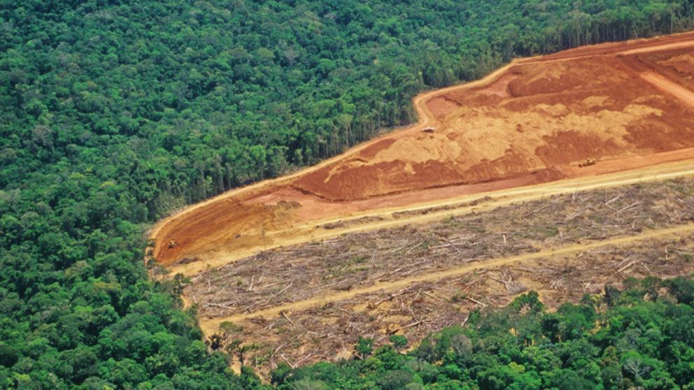 amazonas