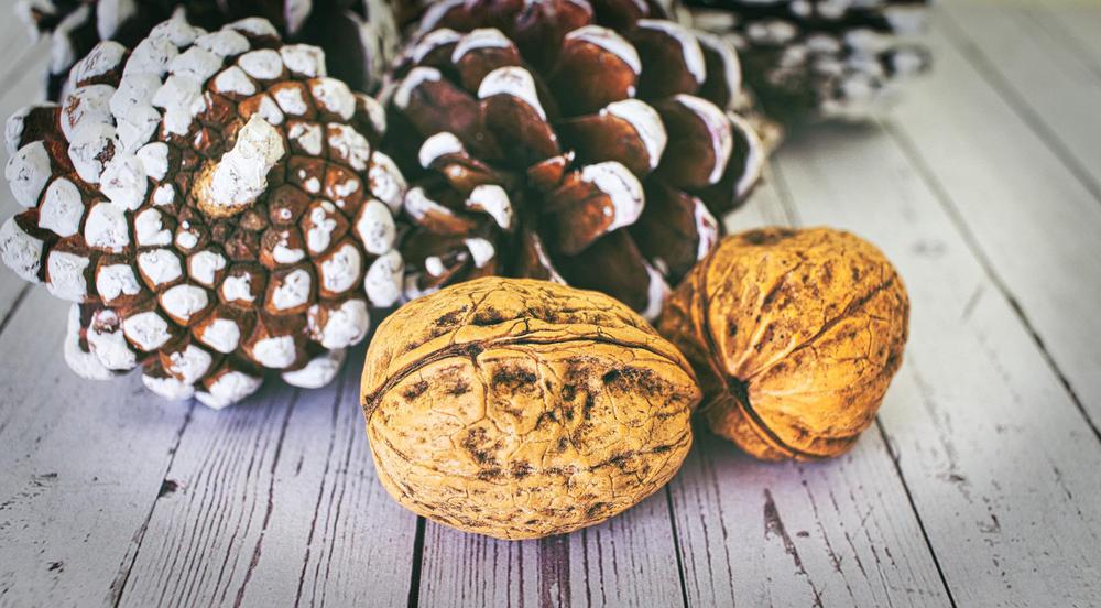 walnut-gb8390d0fb_1920