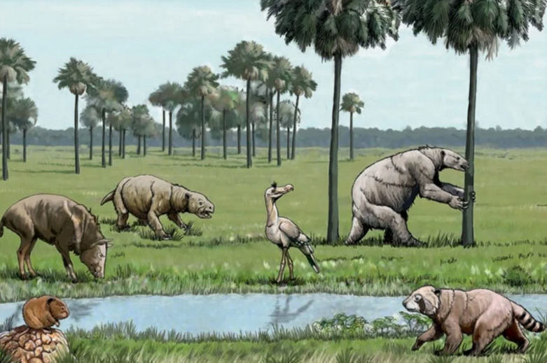 dino0