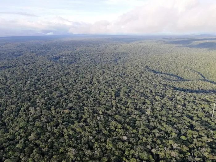 amazonas