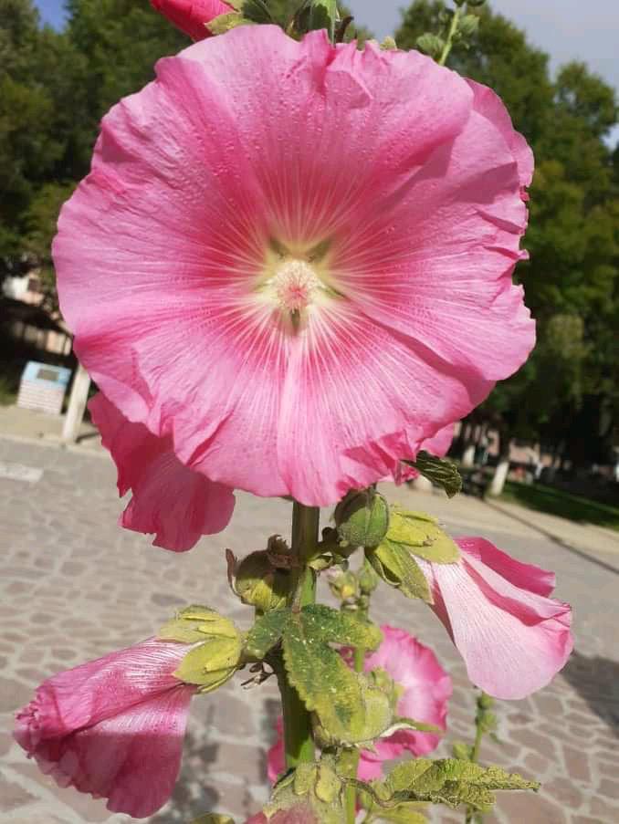 7320c512-eb87-4f03-a0b6-1dc4ff6e85a6