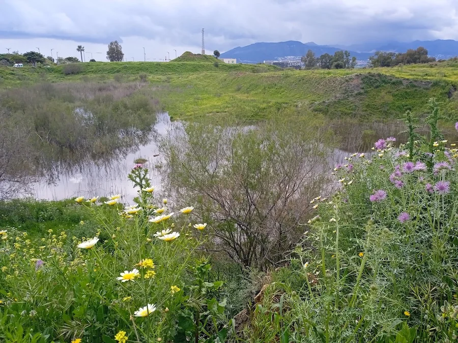 Foto de RRSS - Plataforma Laguna Soliva - soliva