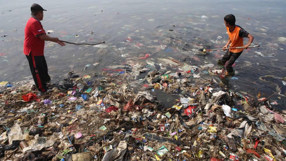 crisis ambiental