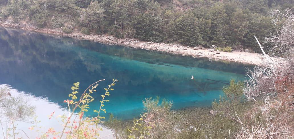 a4e187e9-09f2-4c74-93f3-def403642dc6