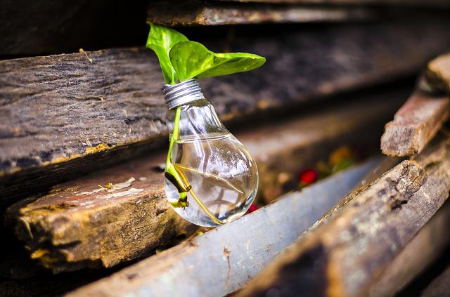 bulb-2587637_640