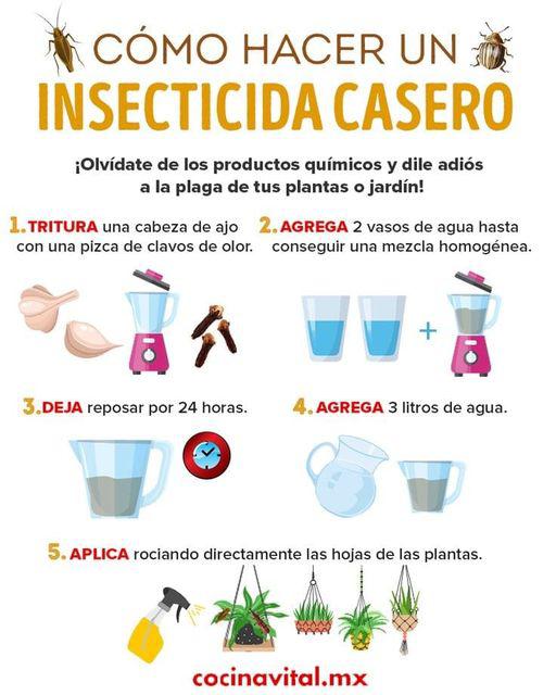 C Mo Hacer Insecticida Casero