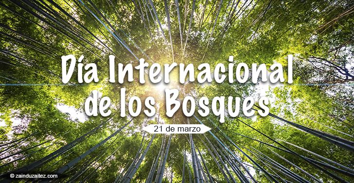 Día Internacional De Los Bosques 1098