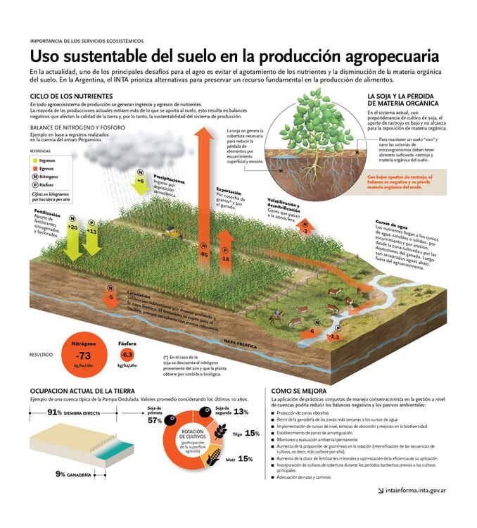 ¿Cómo evitar el agotamiento de nutrientes / materia orgánica en el suelo? ¿Cómo evitar el agotamiento de nutrientes / materia orgánica en el suelo?